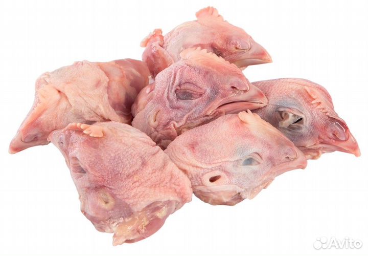 Индейка, курица для собак