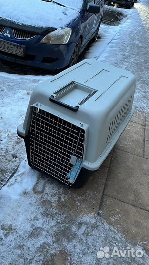 Авиапереноски в самолет для собак