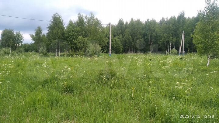 Участок 2,5 га (СНТ, ДНП)
