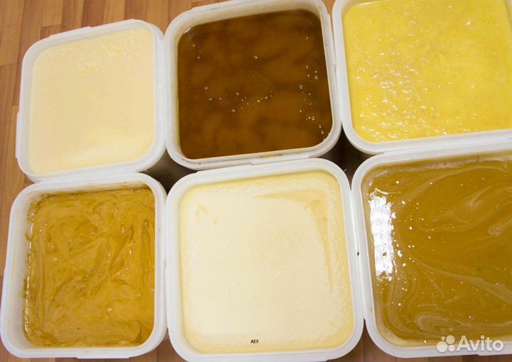 2024 Мед натуральный алтайский оптом