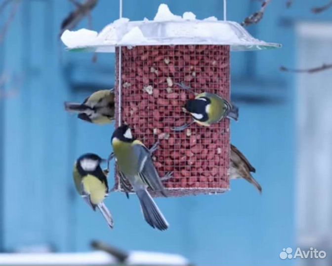 Кормушка для птиц