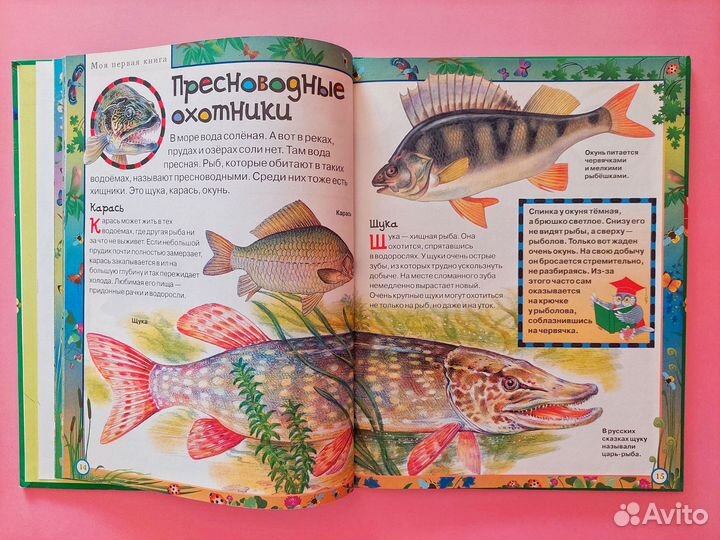 Книга о животных