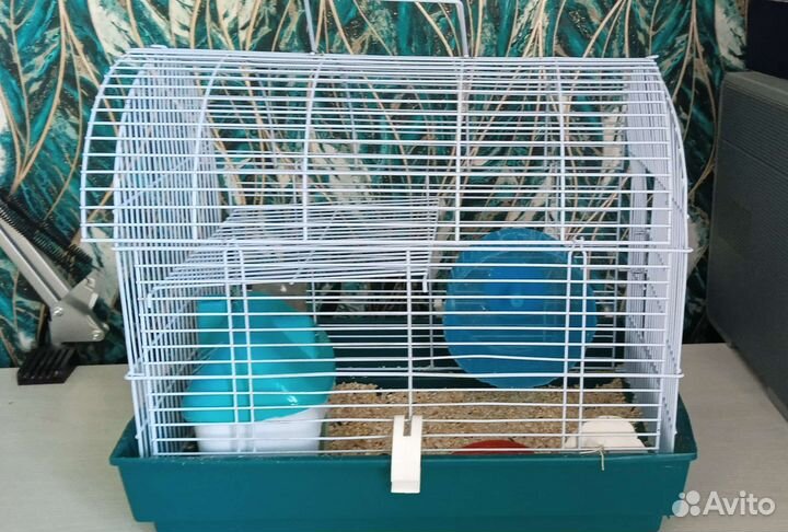Клетка для джунгарского хомяка