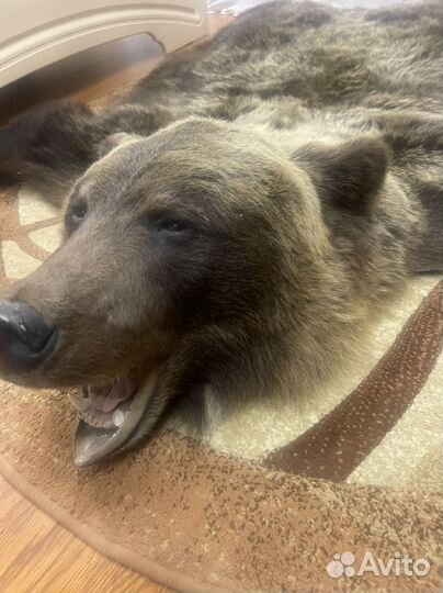 Шкура медведя имитация