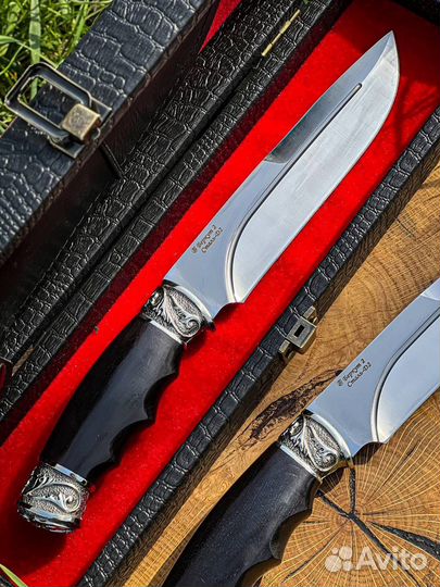 Беркут Кизляр