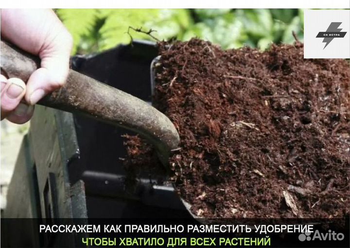 Коровяк