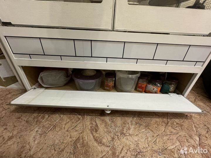 Витрина для грызунов