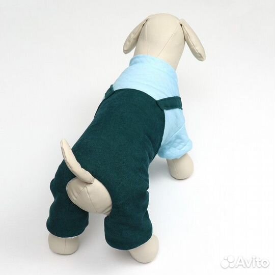 Комбинезон 'Oops', размер S (дс 25 см, ог 35 см, о