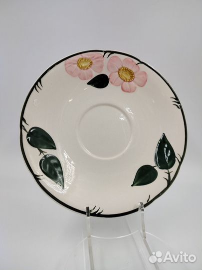 Бульонница wildrose