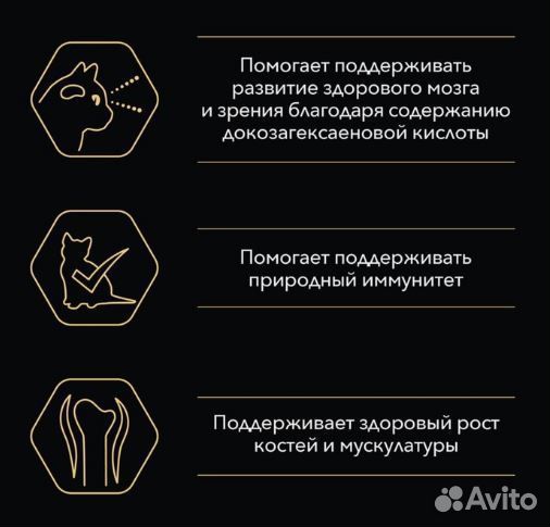 Пауч PRO plan junior для котят, индейка в соусе