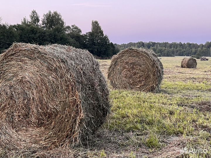Ролоны сена