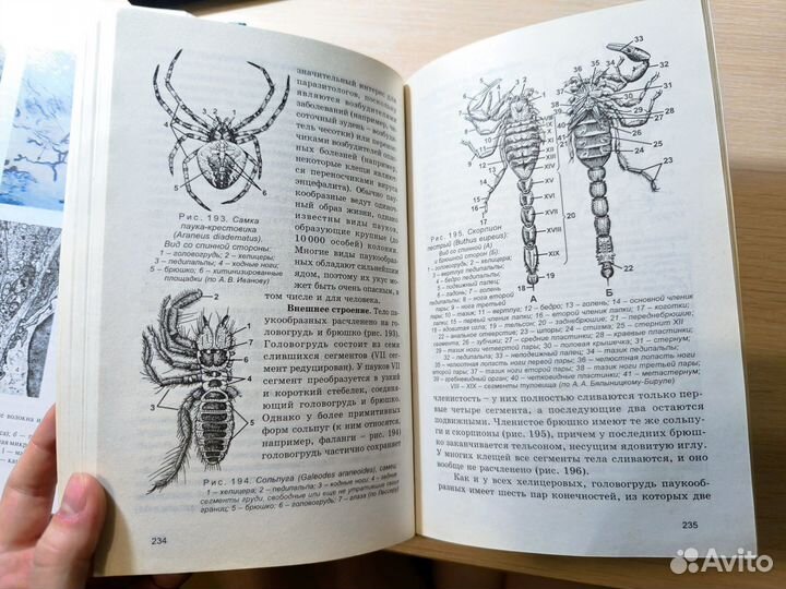 Биология. Том 3. Зоология / Билич, Крыжановский