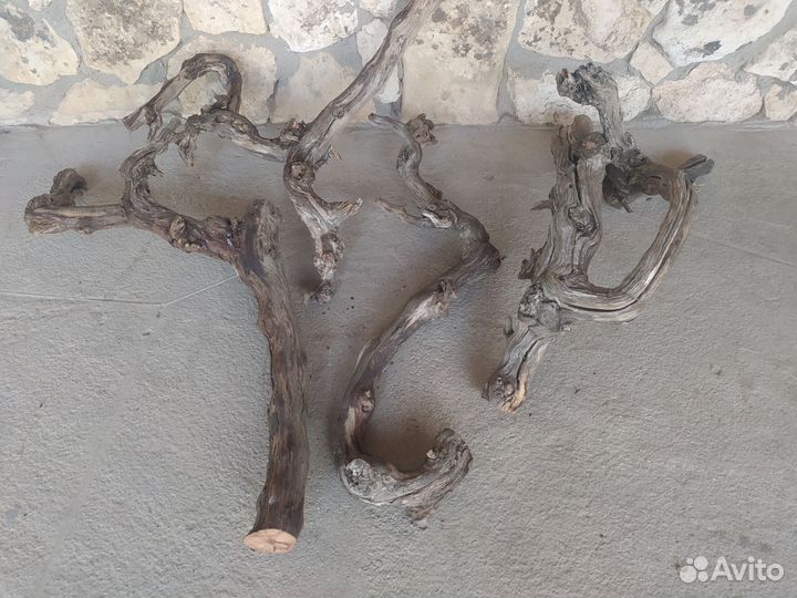 Виноградная лоза коряга