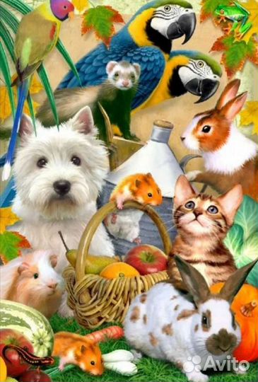 По уходу за животными