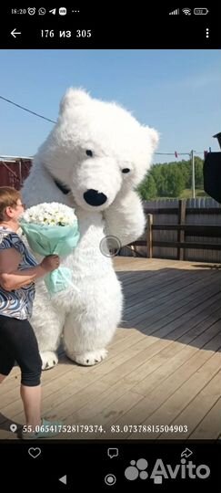 Гигантский Мишка,праздник,шары