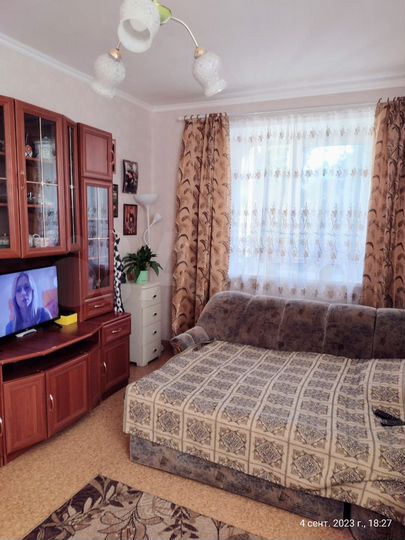 1-к. квартира, 41,6 м², 2/4 эт.