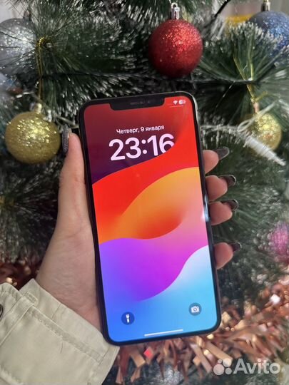 iPhone Xs Max, 256 ГБ