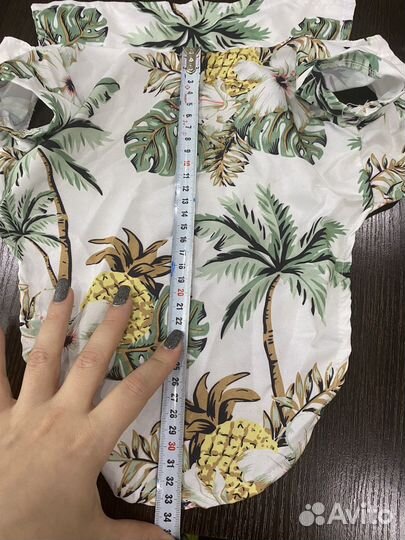 Кофта, шлейка, воротник, фонтан для собак и кошек