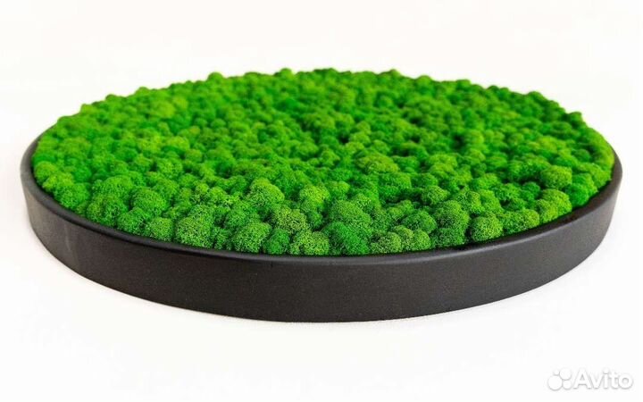 Круглая картина из стабилизированного мха