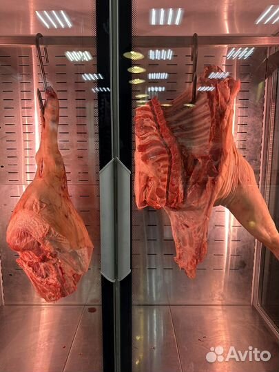 Задняя, передняя часть, туша, пол туши,свинина