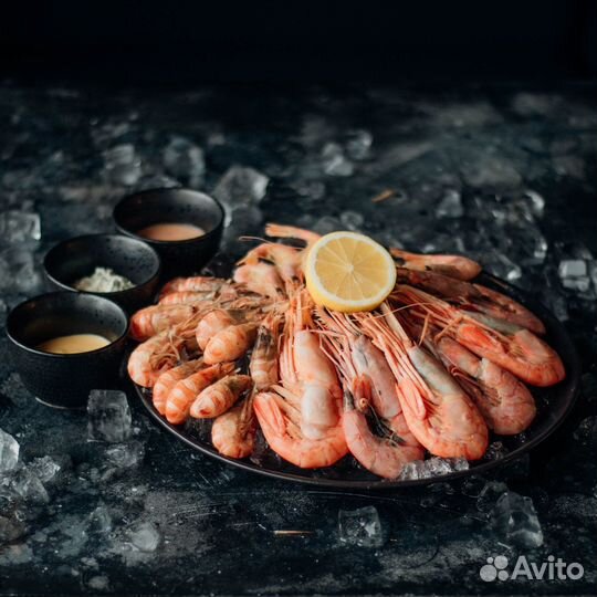 Северная креветка