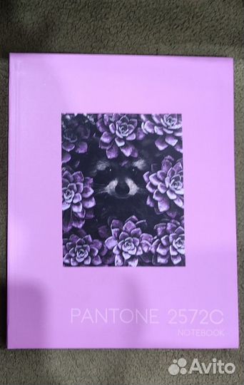 Ежедневник Енот. Блокнот.Книга для записей.тетрадь