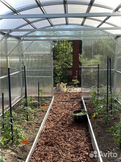 Теплица прямостенная