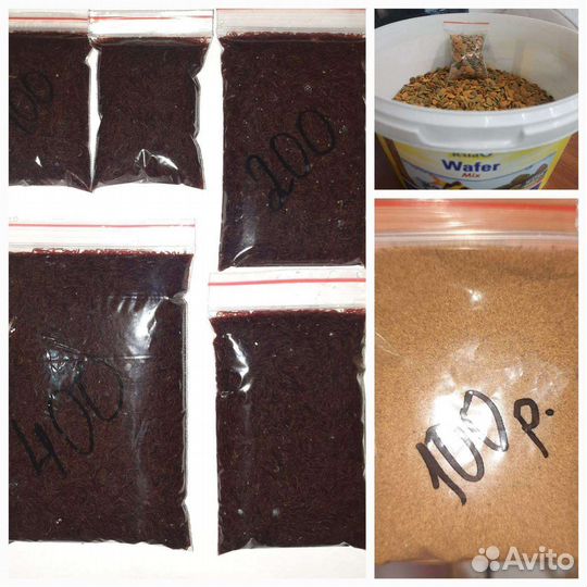 Корм для рыб