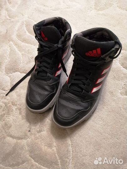 Adidas мужские кроссовки