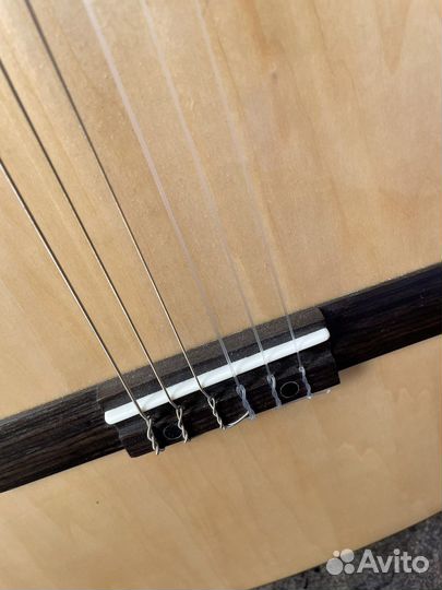 Гитара и чехол