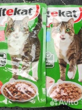 Корм для кошек влажный