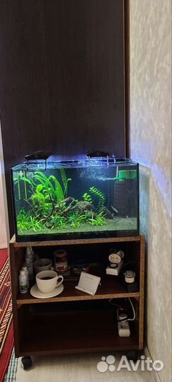 Аквариум 45 литров