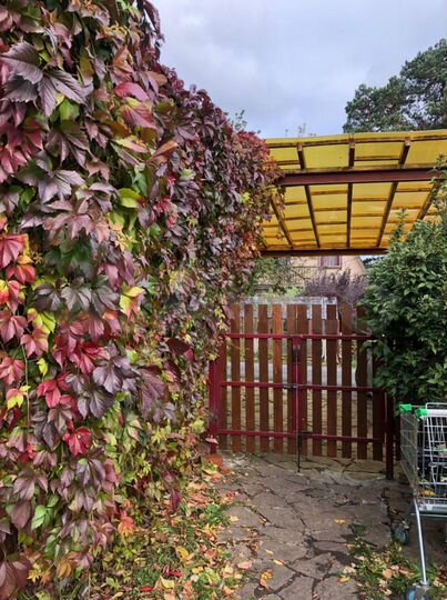 Коттедж 180 м² на участке 5 сот.