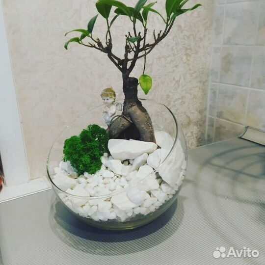 Флорариумы в наличии и на заказ