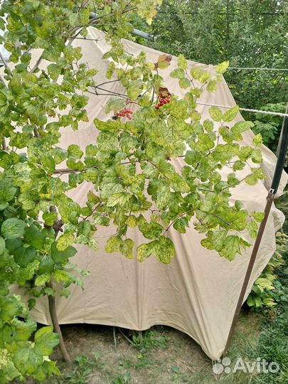 Палатка армейская (брезентовая) СССР