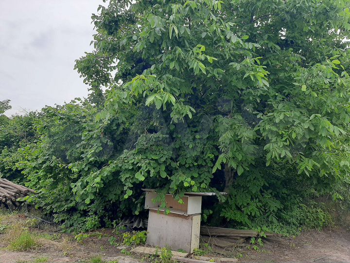 Участок 37 сот. (ИЖС)