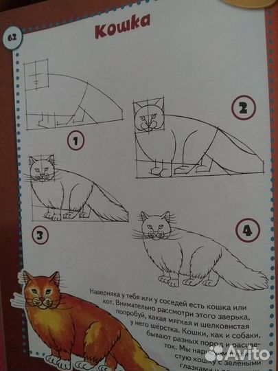 Школа рисования