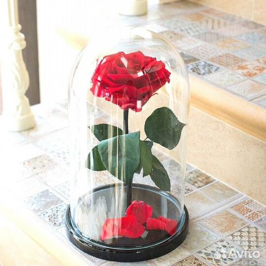 Вечная роза в колбе