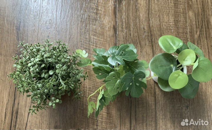 Искусственное растение монстера и Фейки IKEA