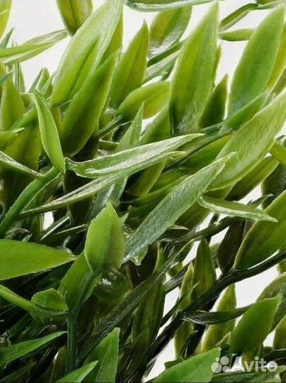 Искусственное растение икеа Фейка Бамбук