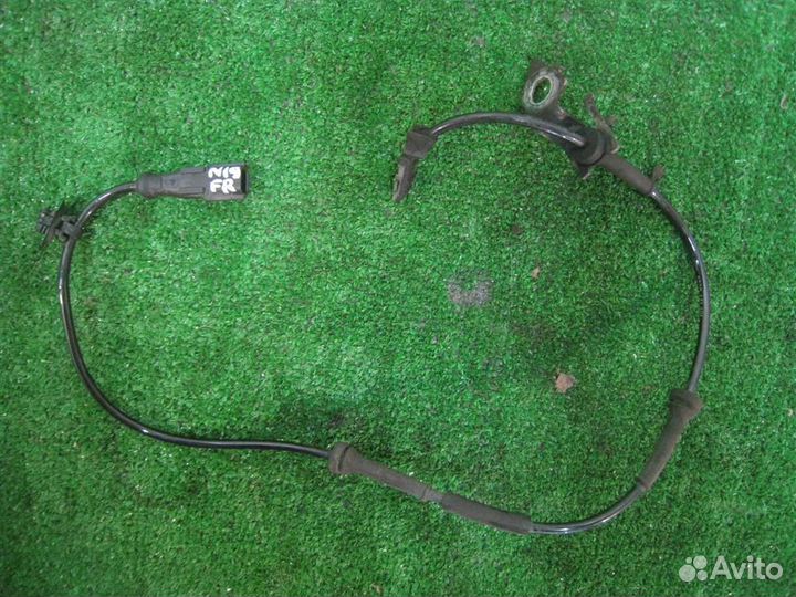 Проводка датчика ABS переднего Renault Kangoo 2