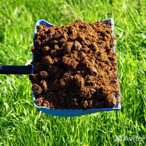 Конский навоз