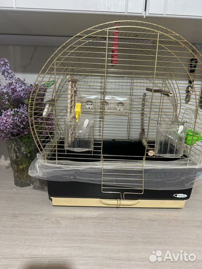 Попугай корелла с клеткой