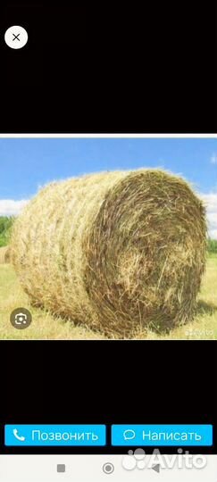 Продам сено в рулонах