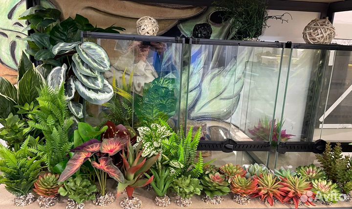 Террариум для рептилий