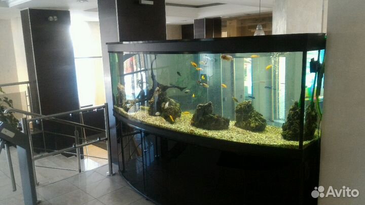 Обслуживание аквариумов