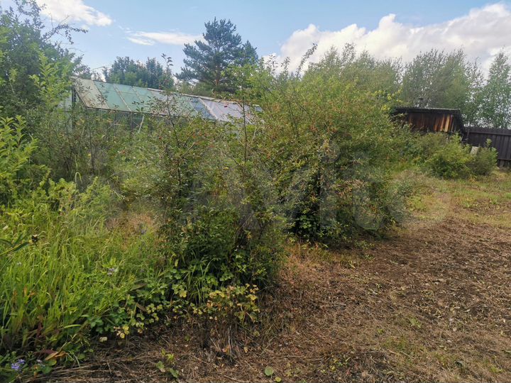 Участок 6 сот. (СНТ, ДНП)