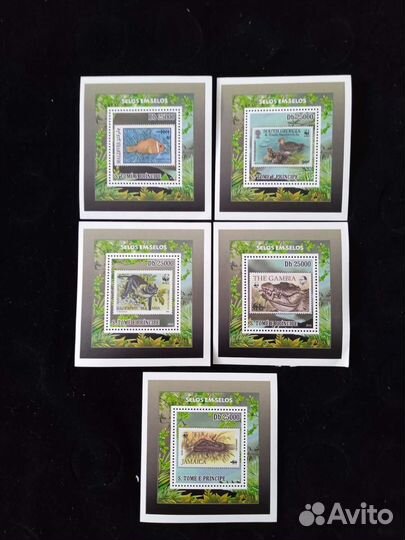 C. Tome e Principe фауна чистые