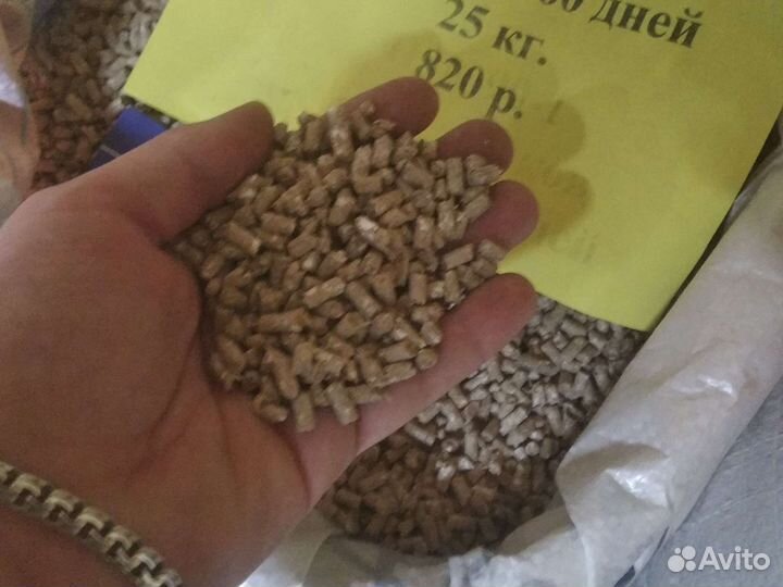 Пзк Глазов для кроликов