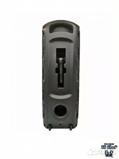 Портативная колонка ZQS-8202A (с микрофоном)